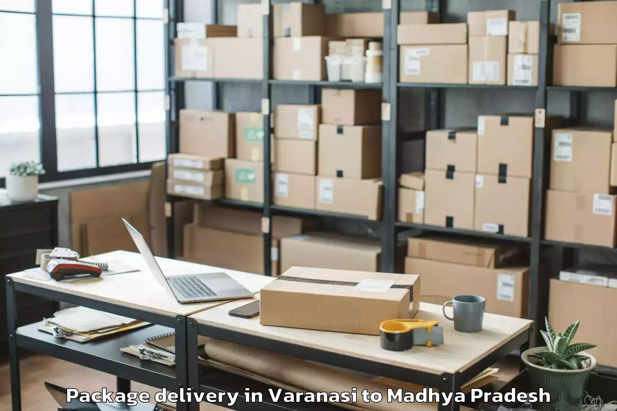 Affordable Varanasi to Indore Package Delivery